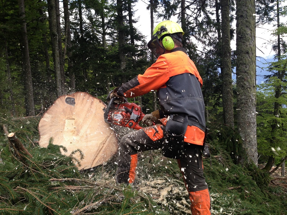 Holzhacken